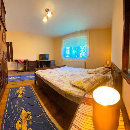Casa Popa Hotel Cîrţişoara Екстериор снимка