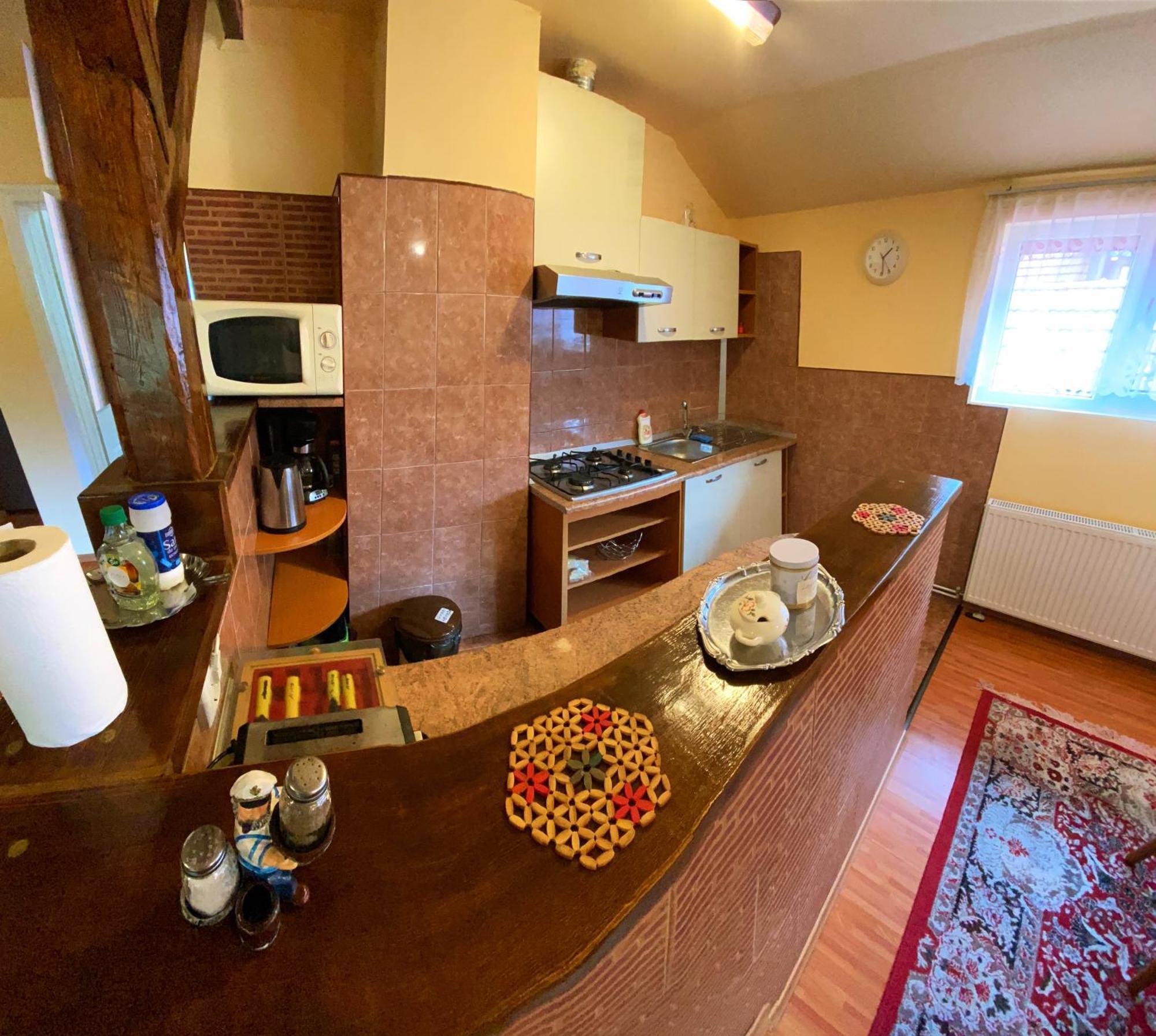 Casa Popa Hotel Cîrţişoara Екстериор снимка
