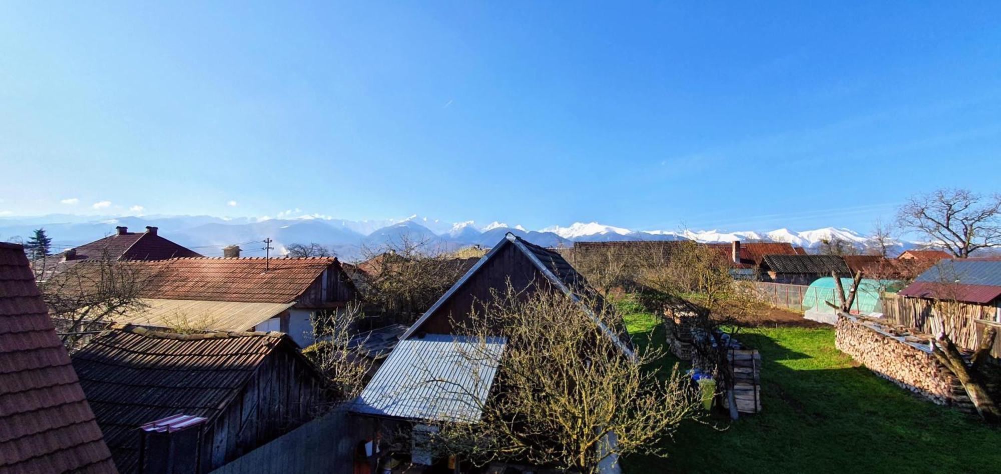 Casa Popa Hotel Cîrţişoara Екстериор снимка